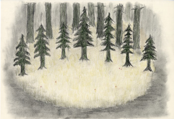 INTO THE WOODS