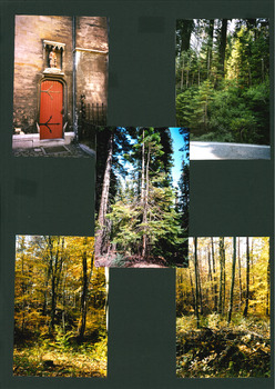 INTO THE WOODS