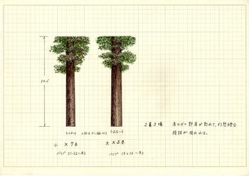 「赤ひげ」道具図面