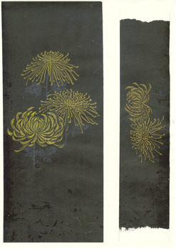 隠れ菊