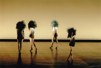 The blossoming of・・・