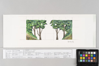 剣客商売-もう一つの宝ー 書き抜きー(3場 高田馬場用一部)