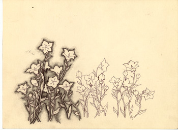 「天守物語」花デザイン画