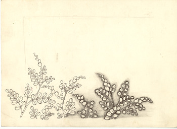 「天守物語」葉デザイン画