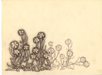 「天守物語」花デザイン画